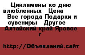 Цикламены ко дню влюбленных › Цена ­ 180 - Все города Подарки и сувениры » Другое   . Алтайский край,Яровое г.